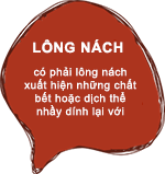 Lông nách